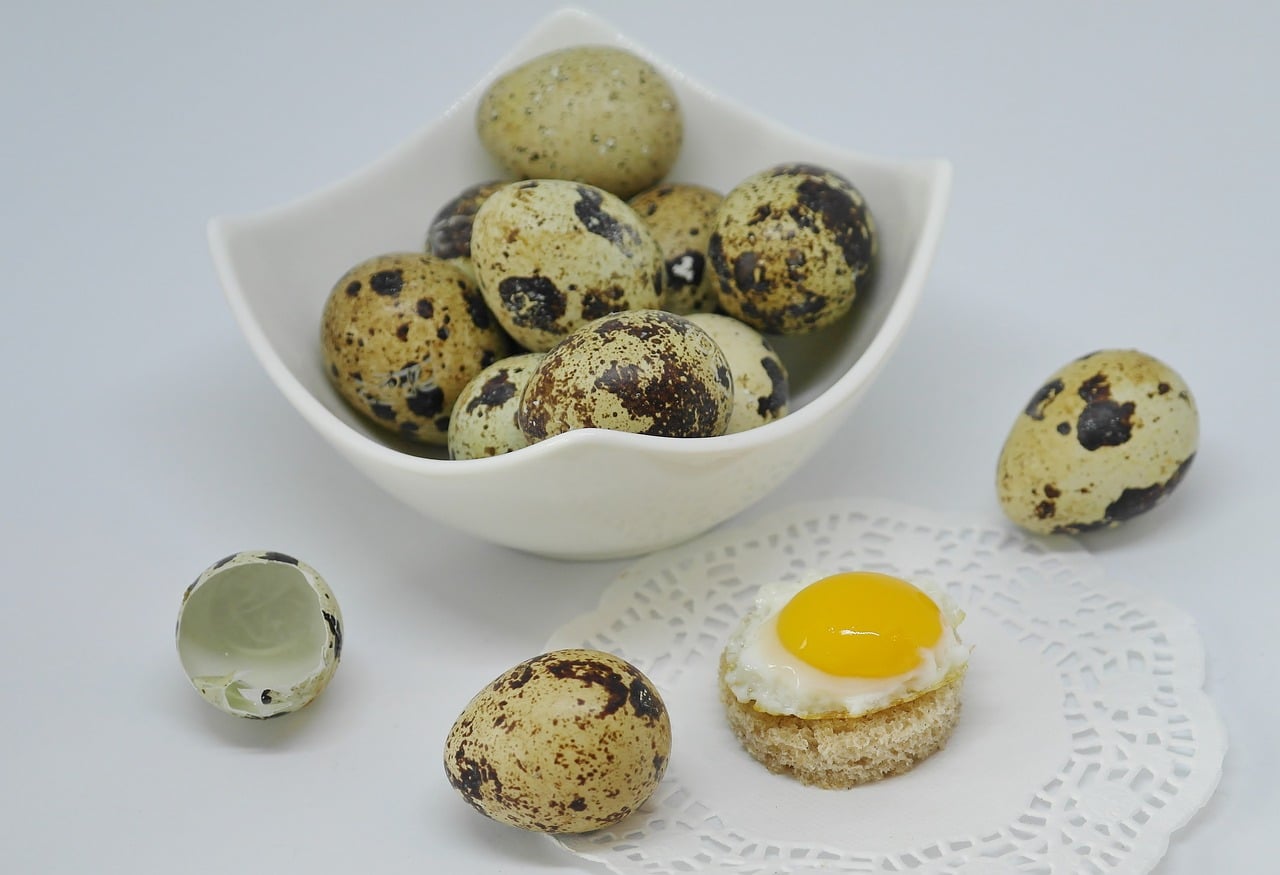 quail eggs recipe