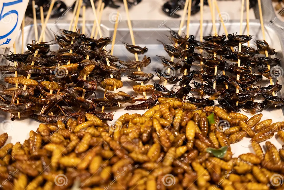 cockroach food 