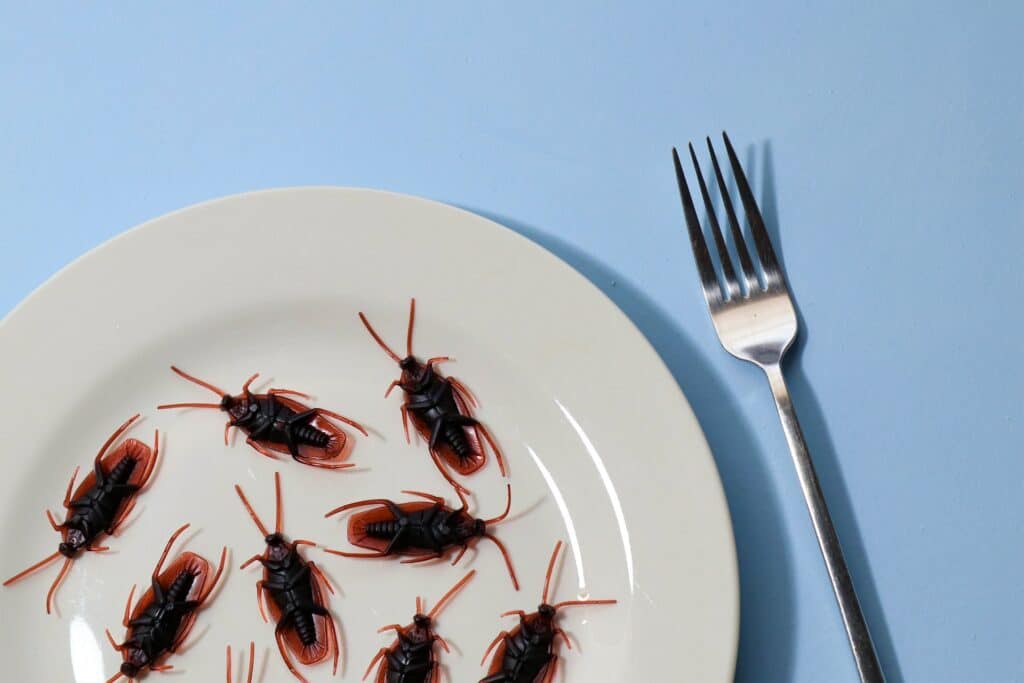 is it safe to eat a cockroach