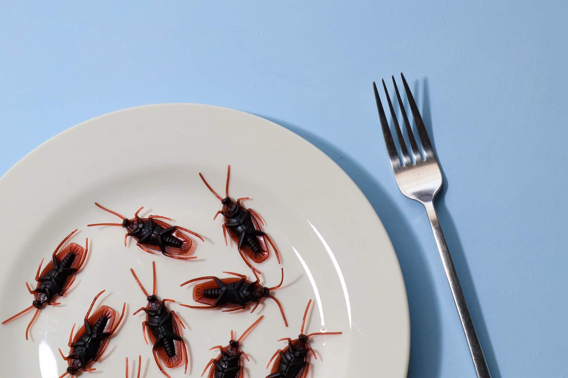 is it safe to eat a cockroach