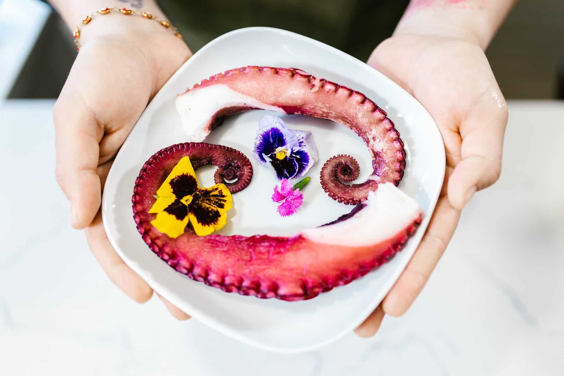 octopus tentacle in plate