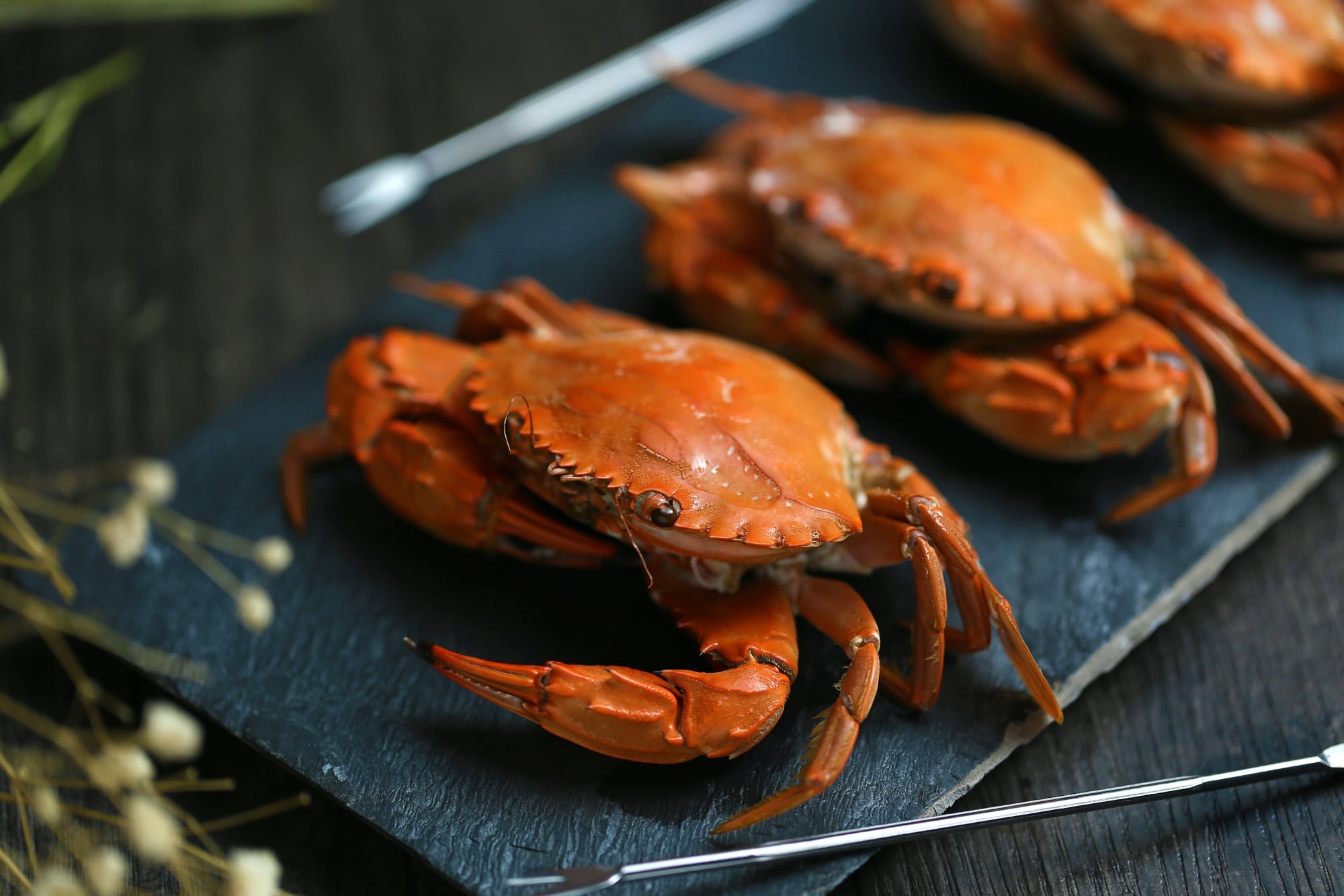 ocean crab meat